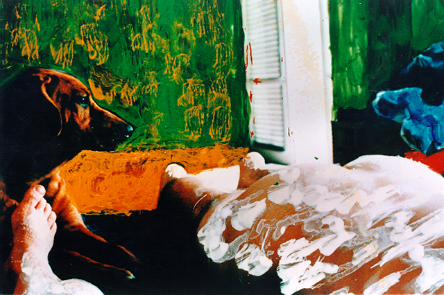 Foto/Pintura, 1996