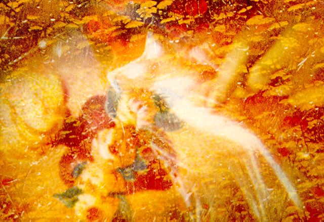 Bênção, 1994