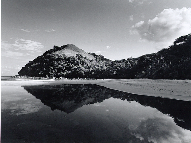 Reflexo