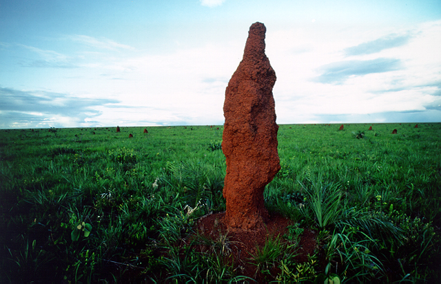 Parque Nacional de Emas