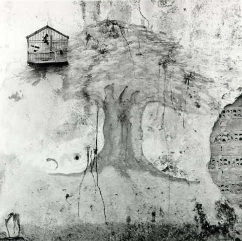 Paranaguá - centro, 1993