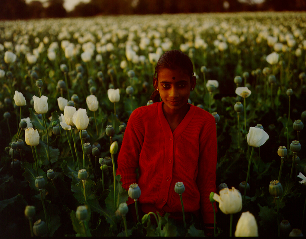 Índia, 1996
