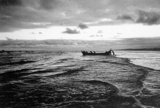 Ilha do Cardoso, São Paulo, 1996