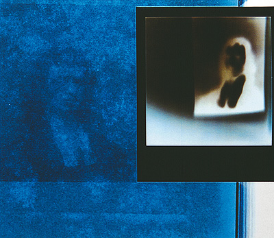Série Pintura Holandesa, 2001