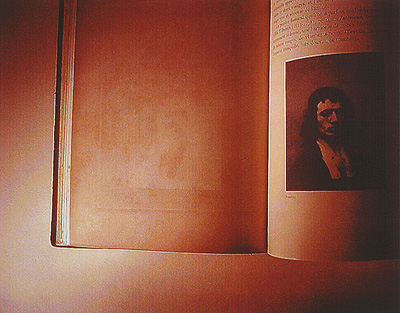 Série Pintura Holandesa, 2001